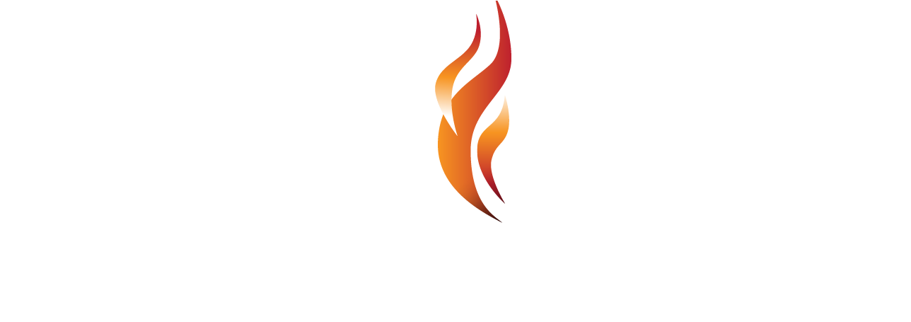 Modern Flames Store